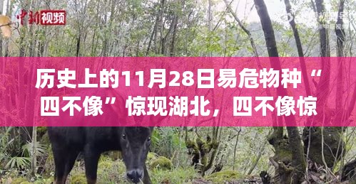 第2027页