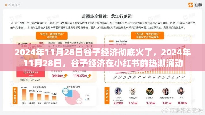 谷子经济在小红书热潮涌动，2024年11月28日的火爆现象