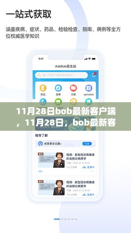 11月28日Bob最新客户端，小小冒险与友情的温馨之旅