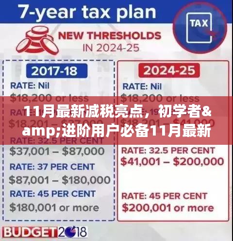 11月最新减税亮点详解与实操指南，初学者与进阶用户必备步骤指南