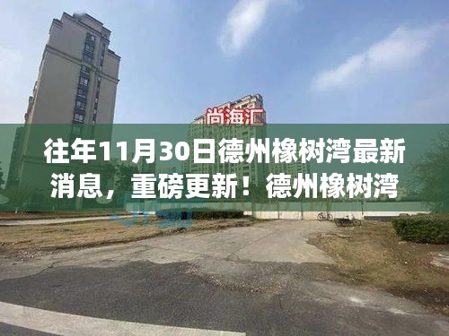 德州橡树湾科技巨献揭秘，全新智能体验重磅更新消息！