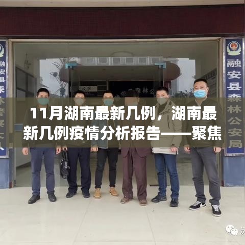 湖南最新疫情分析报告，聚焦要点解读，了解湖南最新几例疫情情况