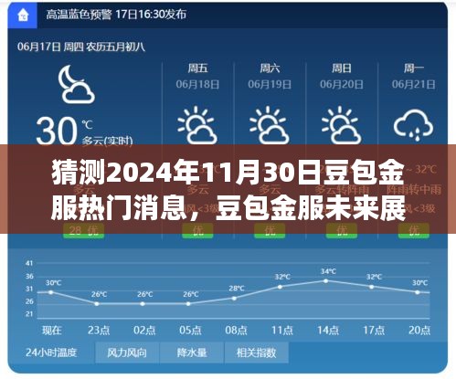 豆包金服未来展望与热门消息预测（2024年11月30日版揭秘）
