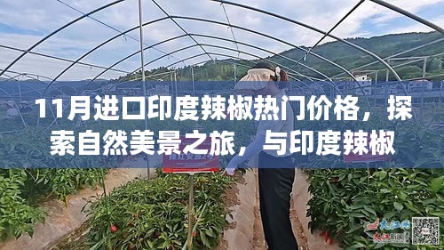 关于我们 第239页