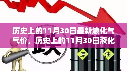 历史上的液化气气价揭秘，洞悉市场趋势与影响因素在11月30日的波动情况分析