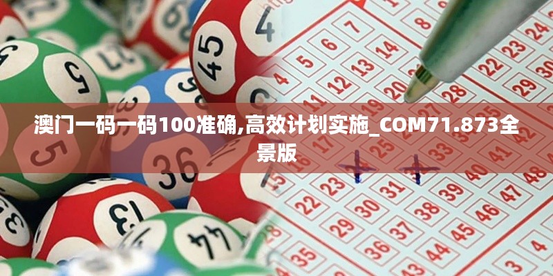 澳门一码一码100准确,高效计划实施_COM71.873全景版