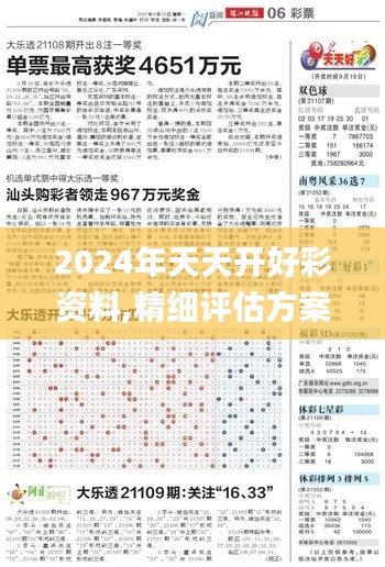 2024年天天开好彩资料,精细评估方案_户外版AYD44.334