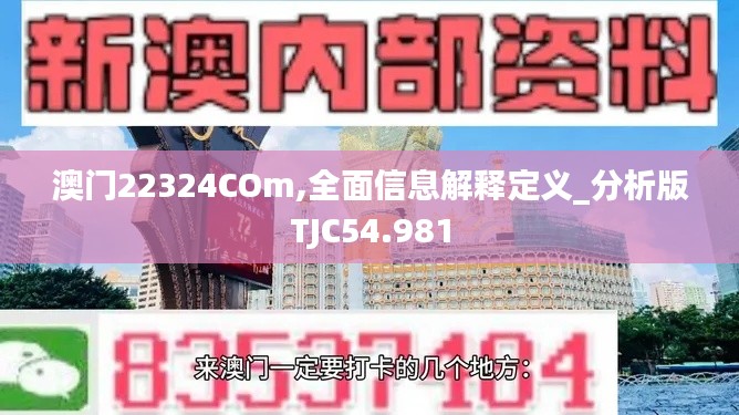 澳门22324COm,全面信息解释定义_分析版TJC54.981