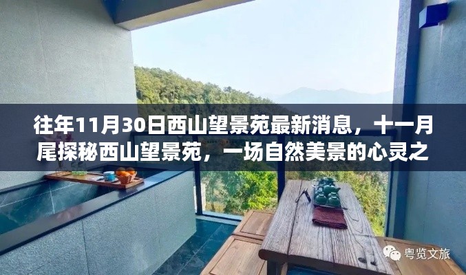 沉鱼落雁 第4页