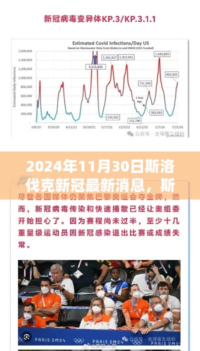斯洛伐克新冠疫情周报，最新动态与消息（截至2024年11月30日更新）