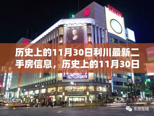 历史上的11月30日利川最新二手房信息获取攻略，入门到进阶全解析