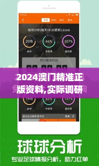 2024澳门精准正版资料,实际调研解析_FWF89.504护眼版