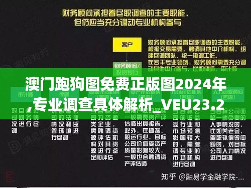 澳门跑狗图免费正版图2024年,专业调查具体解析_VEU23.248悬浮版