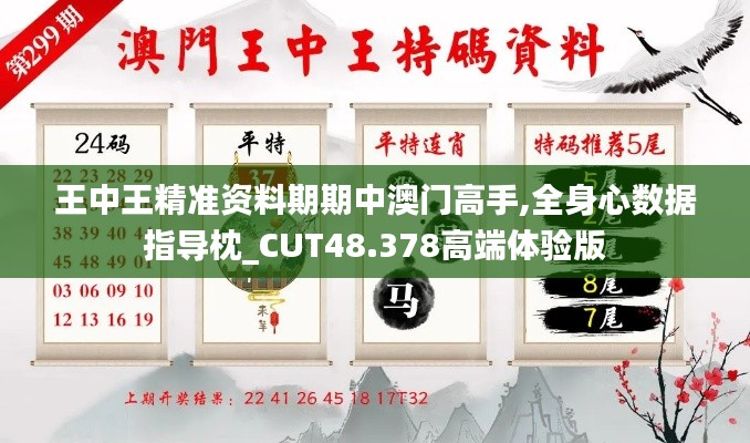 王中王精准资料期期中澳门高手,全身心数据指导枕_CUT48.378高端体验版