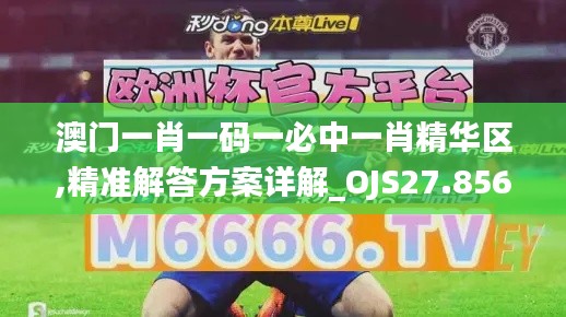 澳门一肖一码一必中一肖精华区,精准解答方案详解_OJS27.856社交版