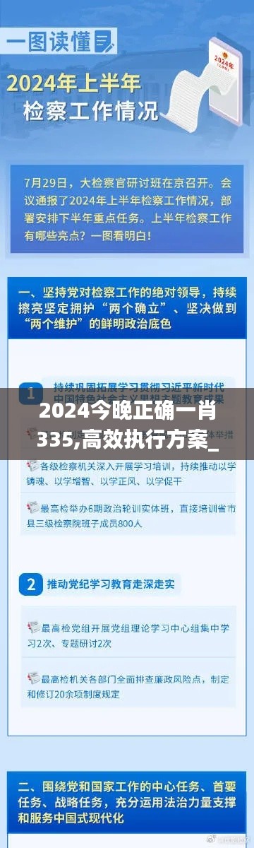 2024今晚正确一肖335,高效执行方案_LFD55.349理财版