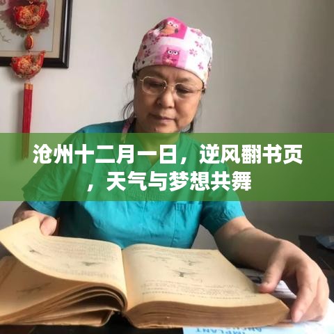沧州逆风翻书页，梦想与天气的交响乐章