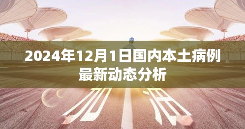 2024年12月1日国内本土病例动态分析报告