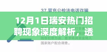 瑞安热门招聘现象深度解析，招聘热潮背后的观点争议透视