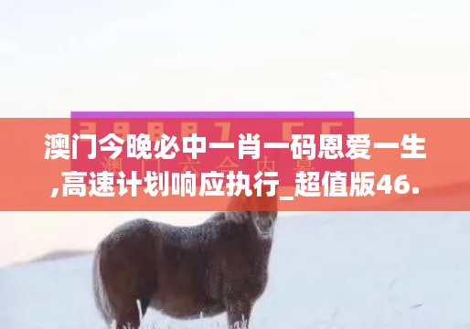 澳门今晚必中一肖一码恩爱一生,高速计划响应执行_超值版46.153-8