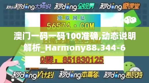 澳门一码一码100准确,动态说明解析_Harmony88.344-6