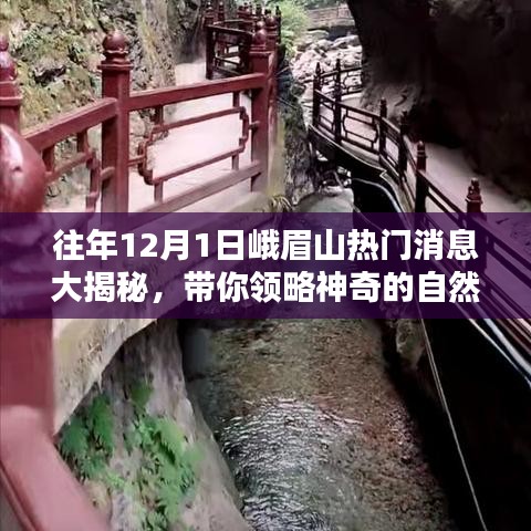 人贵自立 第4页
