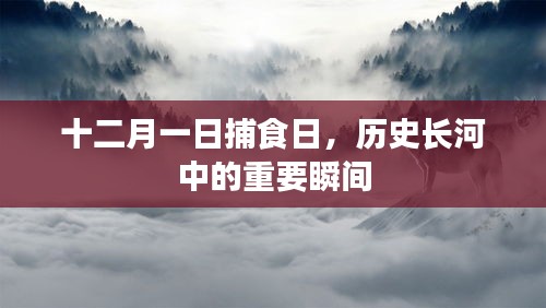 打马虎眼 第4页