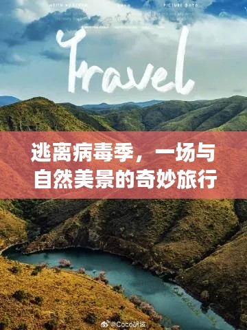 逃离病毒季，自然美景的奇妙之旅