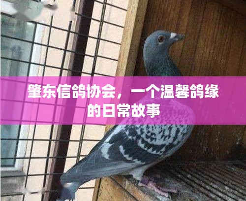 推襟送抱 第4页