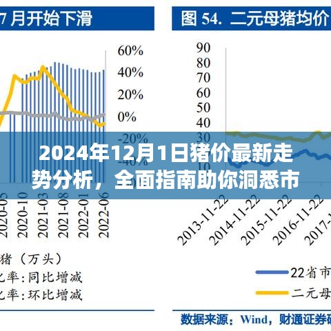 2024年猪价走势分析，洞悉市场趋势的全面指南