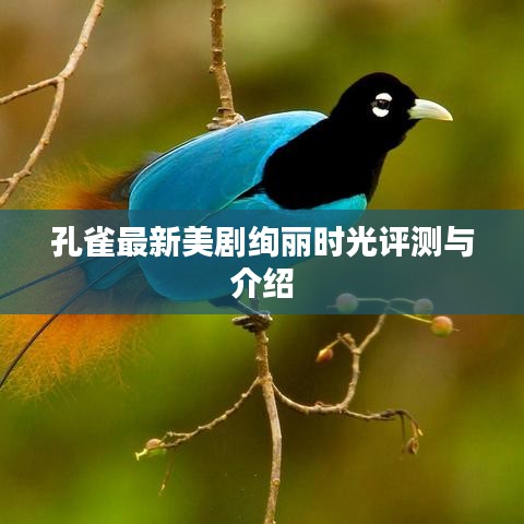 学贵有疑 第4页