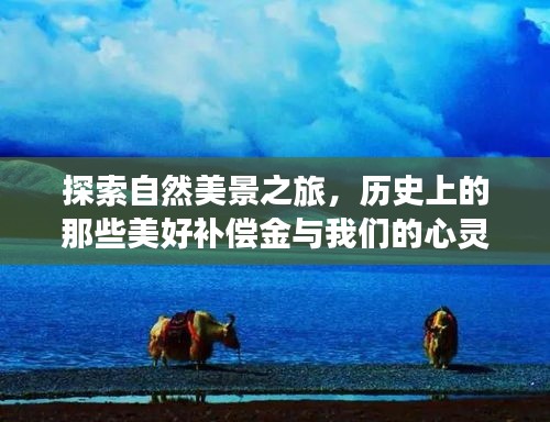 自然美景与心灵之旅，历史上的美好补偿金探索