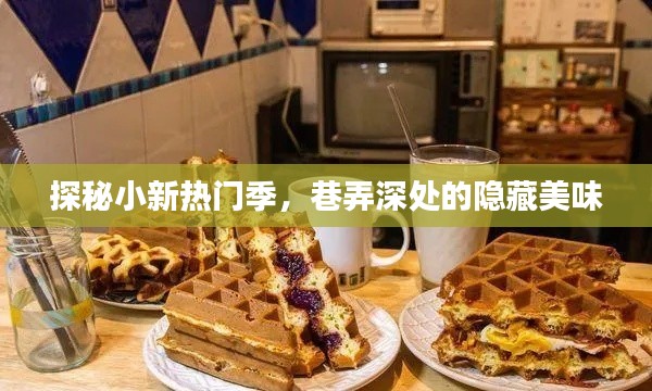 探秘小新热门季，巷弄深处的隐藏美味之旅