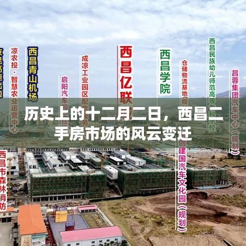 洵属可贵 第4页