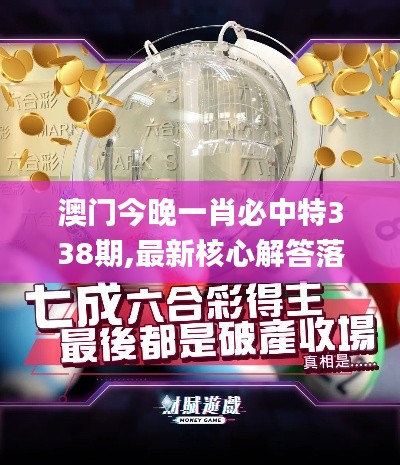 澳门今晚一肖必中特338期,最新核心解答落实_8DM20.587-6