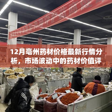 螓首蛾眉 第4页