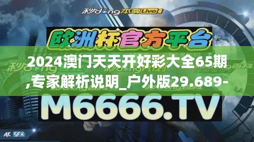 2024澳门天天开好彩大全65期,专家解析说明_户外版29.689-4