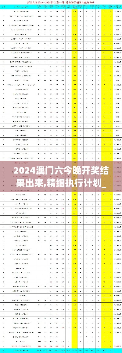 2024澳门六今晚开奖结果出来,精细执行计划_soft50.428-7