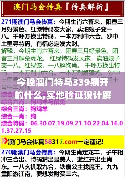 今晚澳门特马339期开的什么,实地验证设计解析_精英款30.308-8