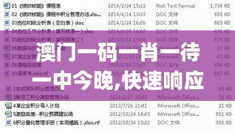 澳门一码一肖一待一中今晚,快速响应计划解析_eShop76.384-8