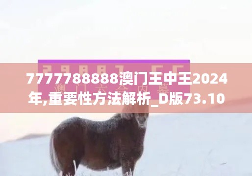 7777788888澳门王中王2024年,重要性方法解析_D版73.101-7