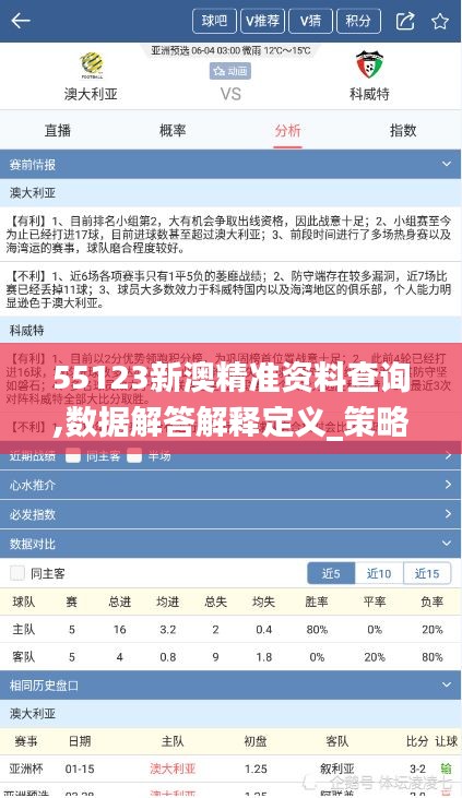 55123新澳精准资料查询,数据解答解释定义_策略版6.517-6