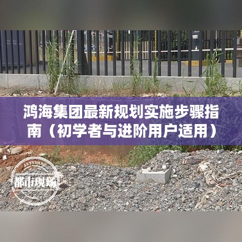 鸿海集团规划实施步骤详解，初学者与进阶用户的指南