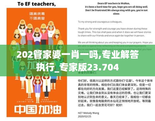 202管家婆一肖一吗,专业解答执行_专家版23.704