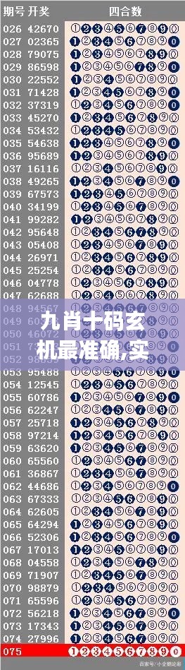 九肖十码玄机最准确,实地分析数据方案_免费版57.213