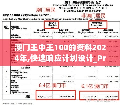 澳门王中王100的资料2024年,快速响应计划设计_Premium83.233