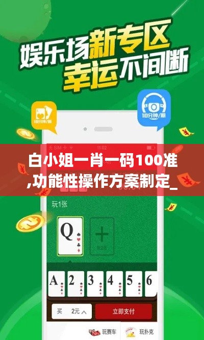 白小姐一肖一码100准,功能性操作方案制定_云端版74.246
