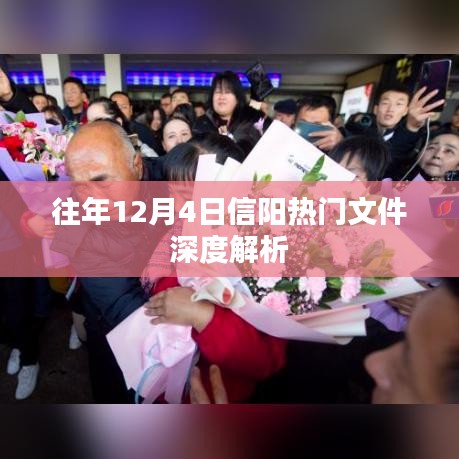 深度解读报告
