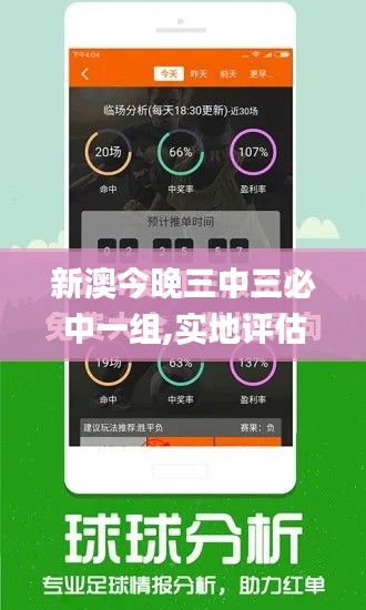 新澳今晚三中三必中一组,实地评估策略_tShop9.626