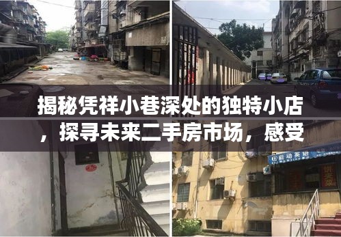 凭祥小巷深处的独特小店与未来二手房市场，探寻别样生活风情